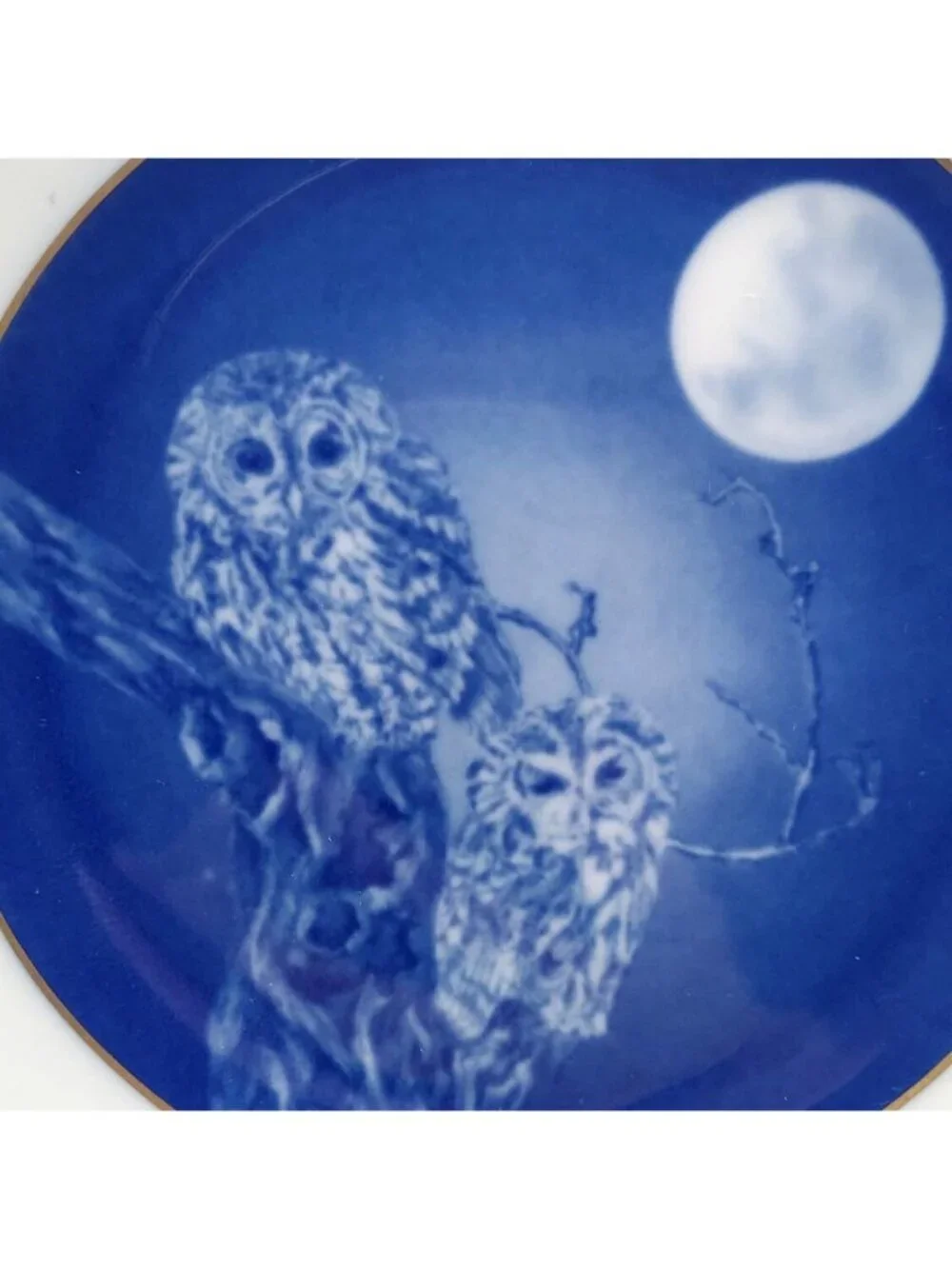 Vintage Dresden Porcelain Mothers Day Plate 1976 Owls Limited Edition Germany
